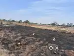 658 Var Residential NA plot available for outrate at Sarul Shivar .