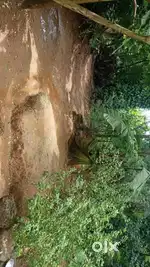 12 cent property 12 സെൻ്റ് സ്ഥലം