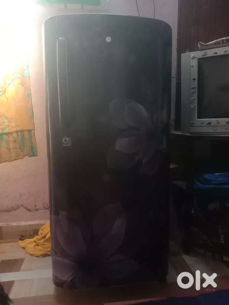 Fridge single door