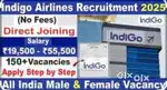 Urgent requirements for ground staff job in freshers candidate