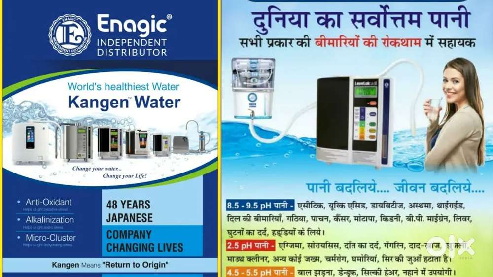 Alkaline water purifier