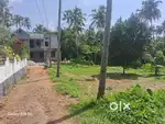8 cent land