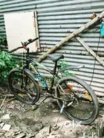 2 month old cycle