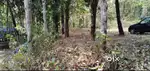 20 Cent Plot in Pulpally - Perikkalloor Road