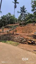 26 cent plot for sale in Anachal near Munnar