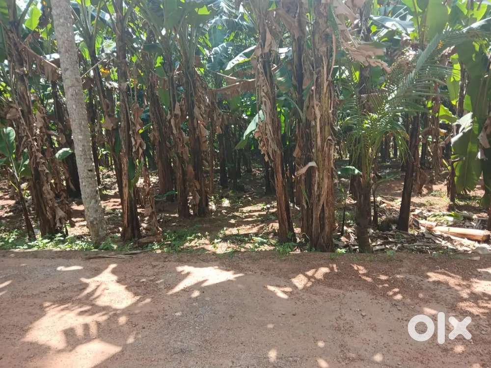 Plot for sale at varkala