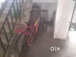 Ek number cycle hai