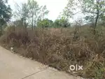 Rectangle housing plot with panchayat road frontage