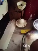 Ceiling fan