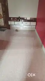 Single room for rent