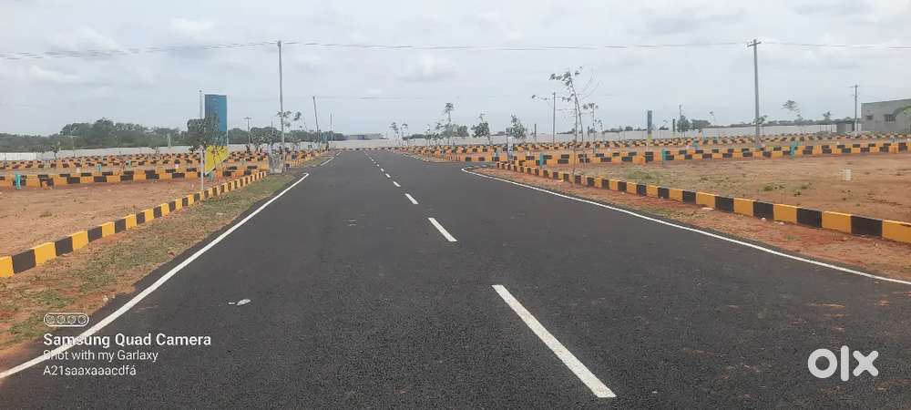Best corner Dtcp approved plot for sale near anna university DindiGul