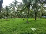 2 AECAR 2 GUNTE LAND SALE KYATHANHALLI NEAR PANDAVAPURA ALL AREAS AV