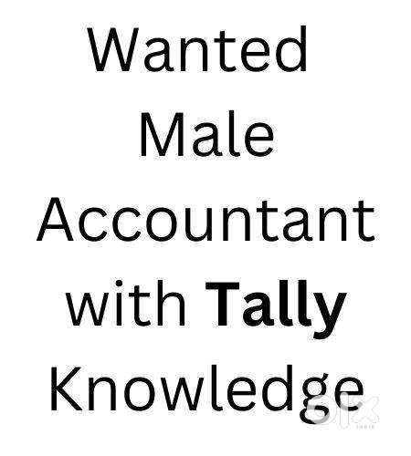 Male Accountant With Basic Tally Knowledge