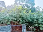 Puthuppally - Kanjirathinmood - 12 Cent Plot For Sale - Tar Road Side
