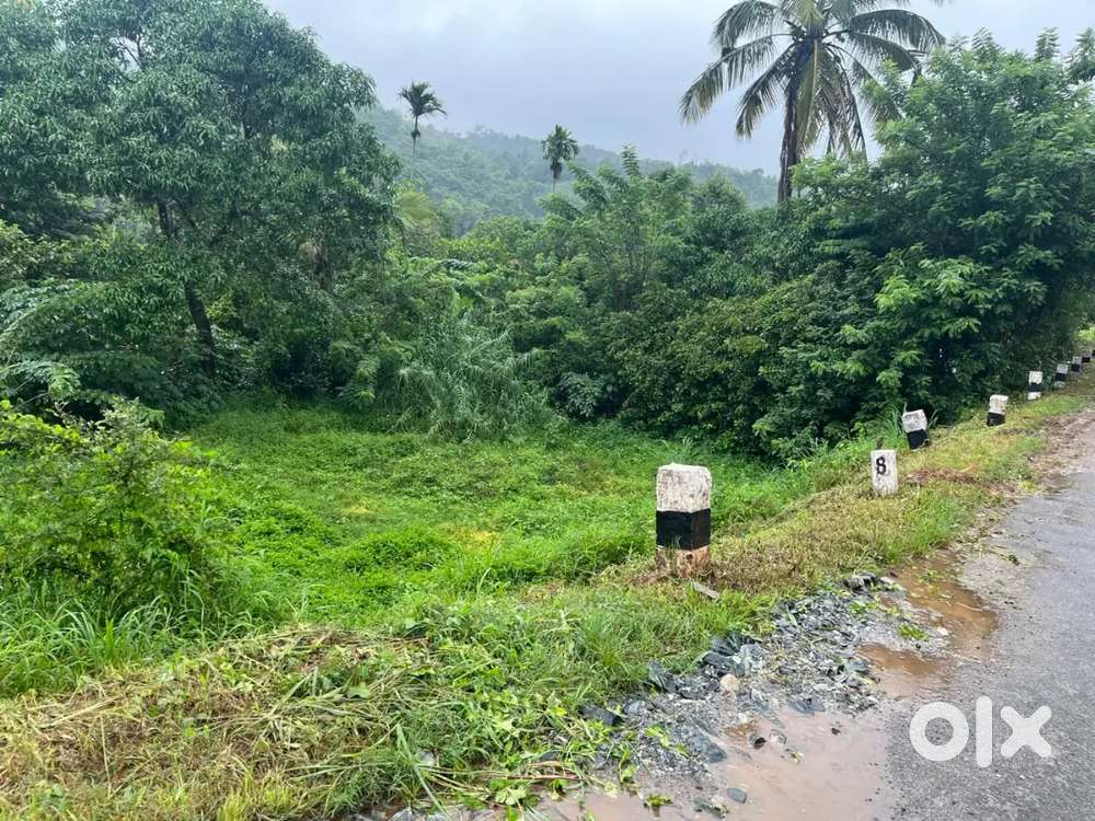 14 cent Housing and commercial Plot Manathavadi 6km