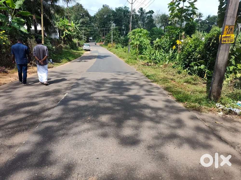 Kothamangalam paingottoor Thennathoor house plots for sale