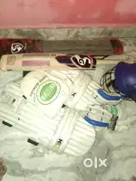 Cricket kit