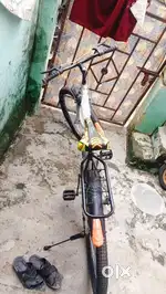 Original condition nai cycle