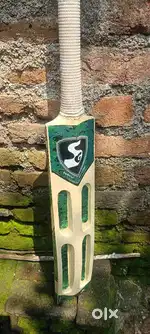 SG believe income bat new condition