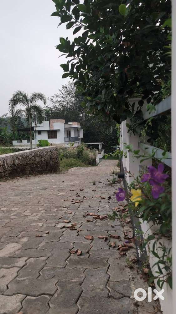 8 cent premium villa plots with well water and a store room for sale