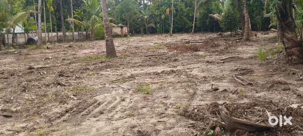 Varapuzha Puthanpalli 5 cent