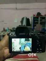 Nikon Z6 || with 85mm lens