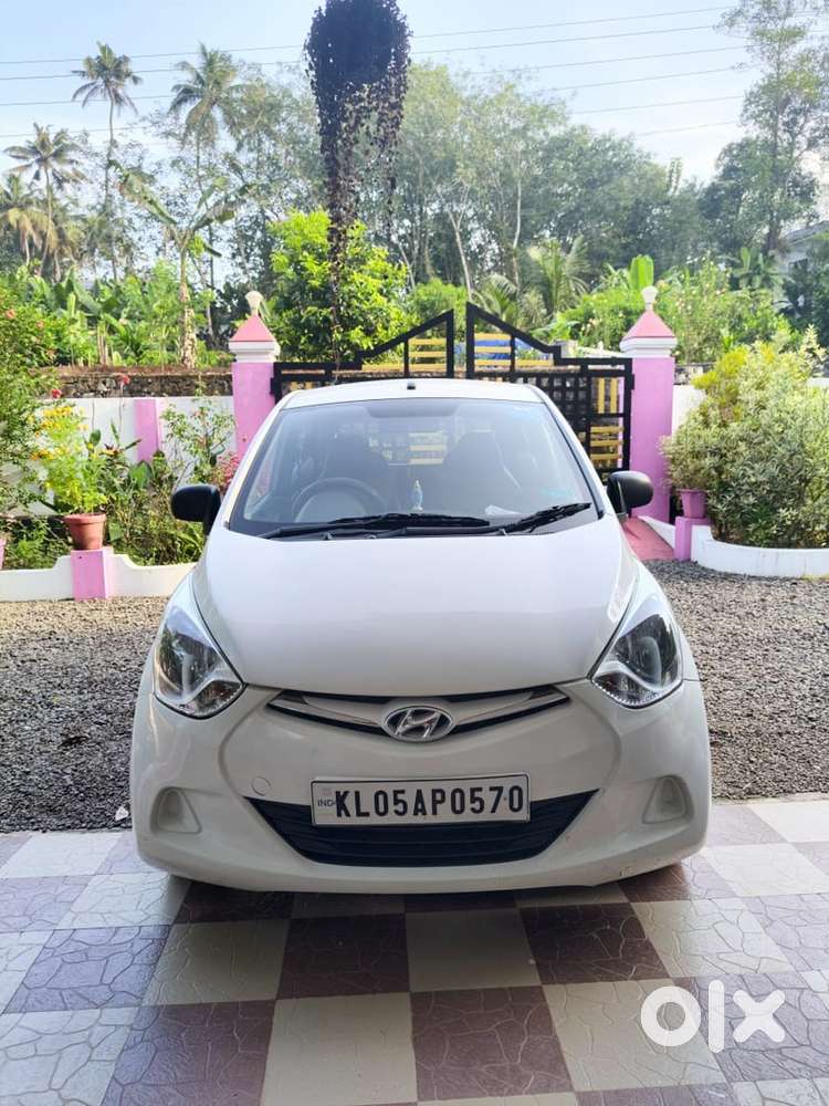 Family used Eon car