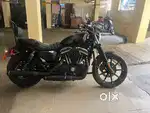 Harley davidson iron 883 for sale