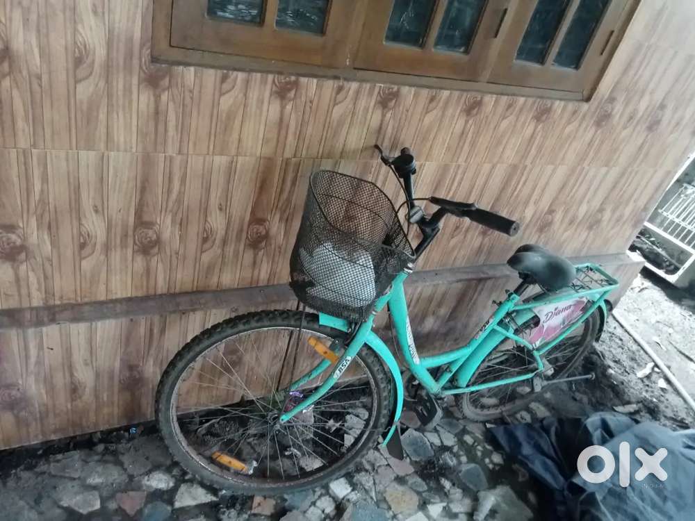 Lady bird of 2 year old