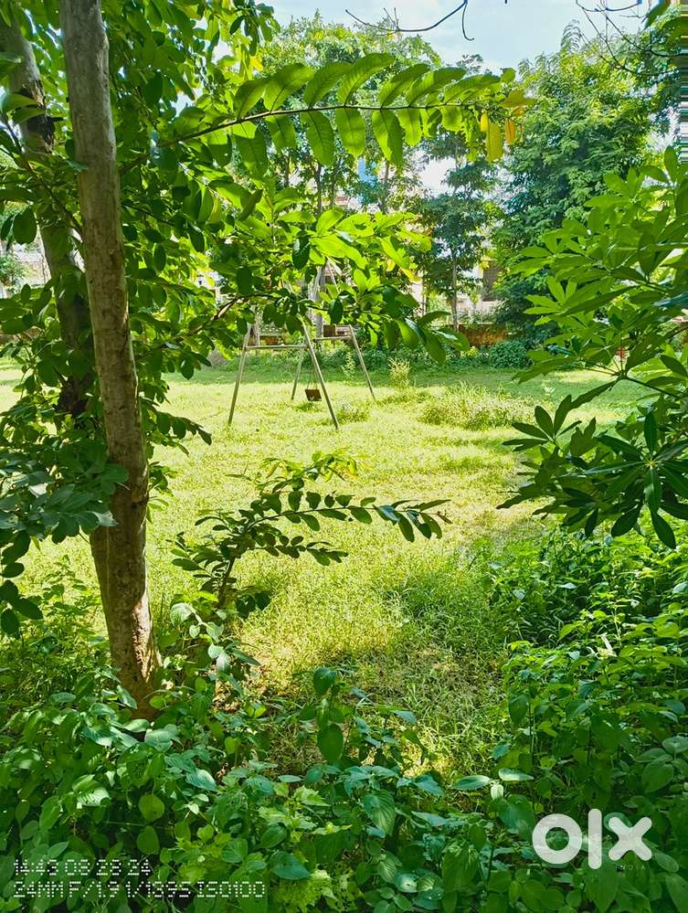 Well Develop Surya Nagar Plot