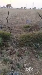 Mehgaon mein pachera men road per 25 Bai 50 ka plant hai bechna hai