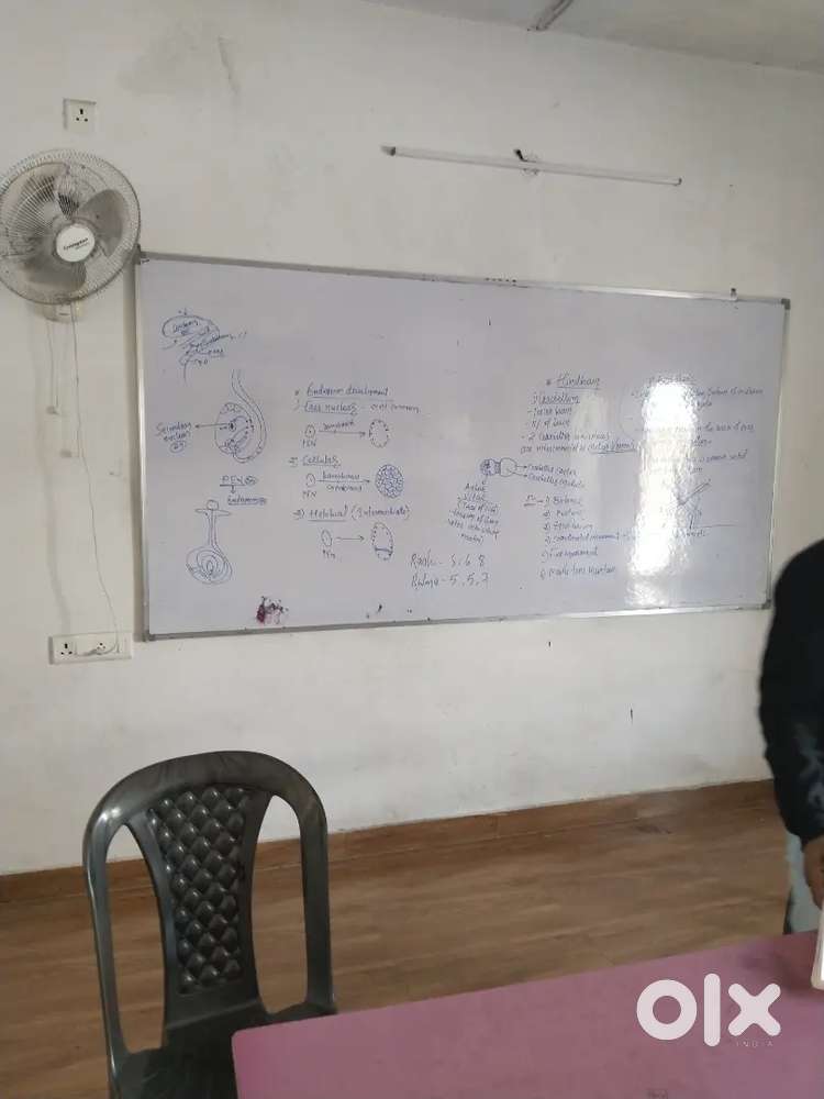 class room setup