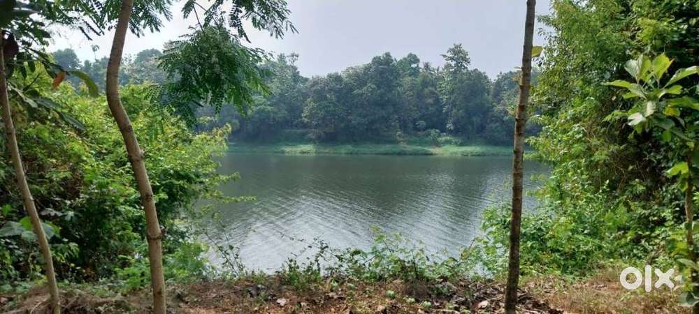 RIVERFRONT PROPERTY FOR SALE ERNAKULAM