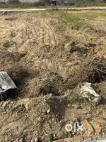 Plot for sale new arora colony