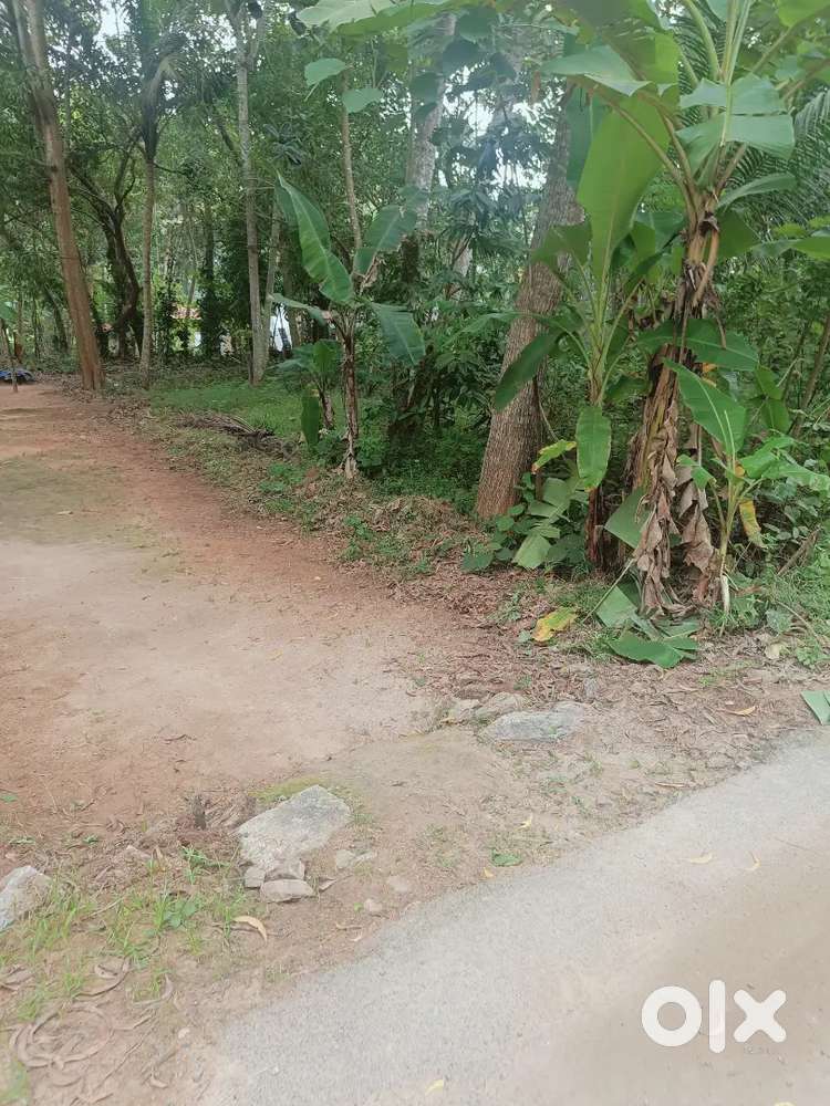 15 cent land for sale