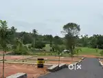 Prime Residential Plot at Kandanadu near Thrippunithura