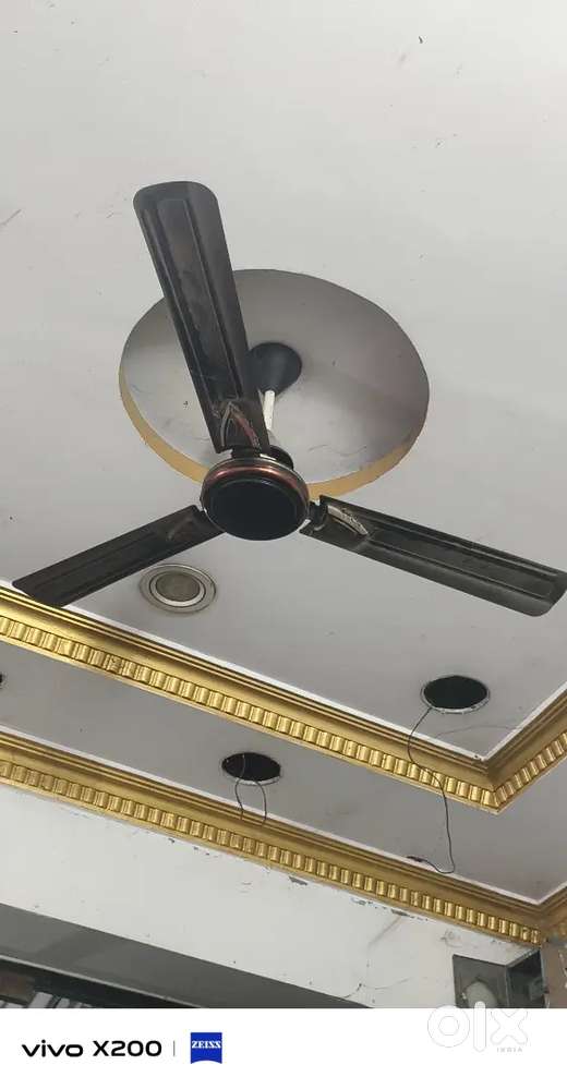 Copper fan