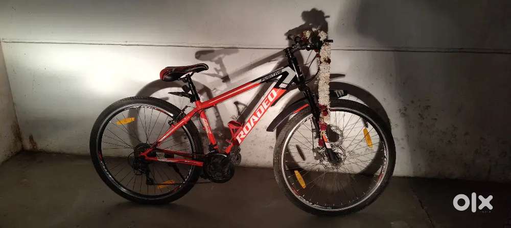 Hercules Roadeo Cycle