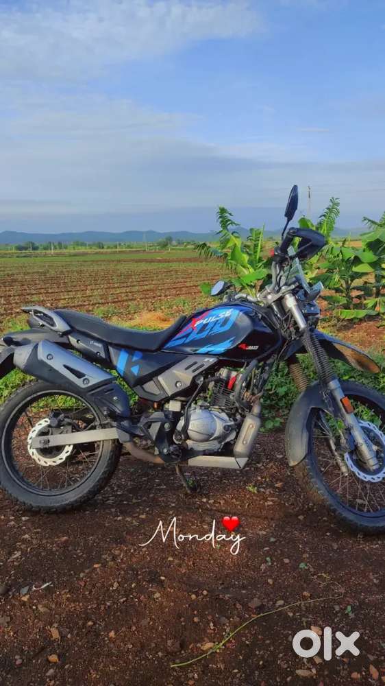 X pulse 2004V ,model 2023 august