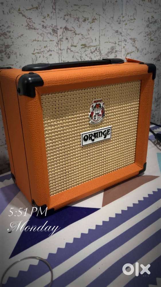 Orange Crush 12 - 1 Week old