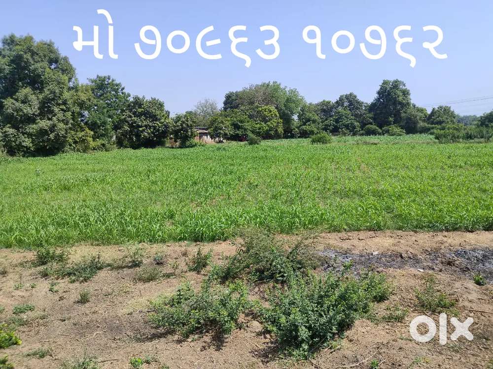 અડાસ ગામ હાઇવે નજીક જમીન વેચવાની છે