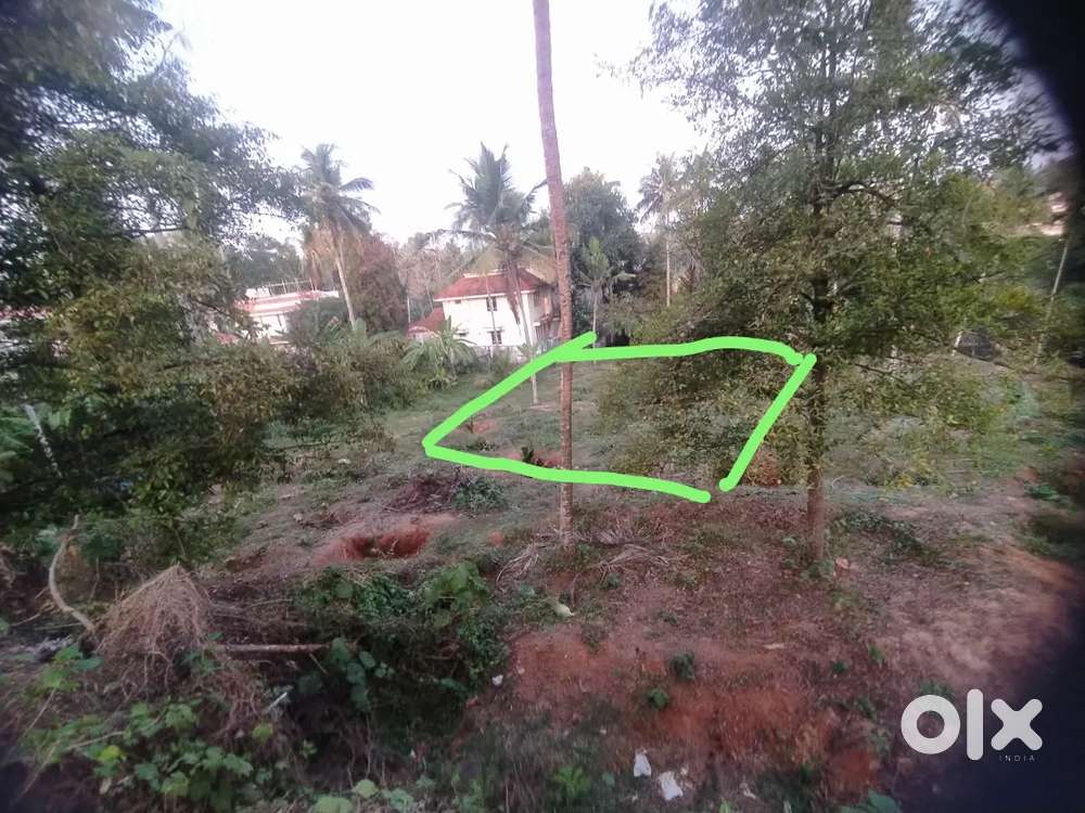 വട്ടിയൂർക്കാവ് ഭാരതീയ വിദ്യാ  ഭവൻ സ്കൂളിന് സമീപം 5 സെൻ്റ് വിൽപ്പനക്ക്