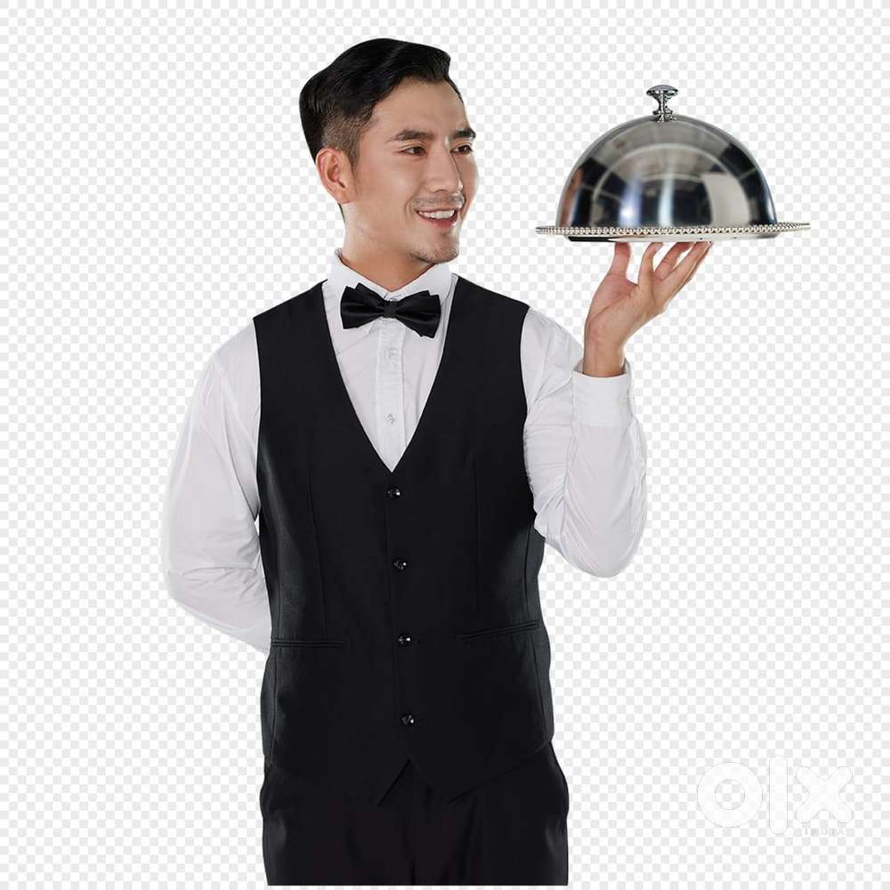 Fresher Ke Liye Hamare Pas Job or Room Dono Available Hai