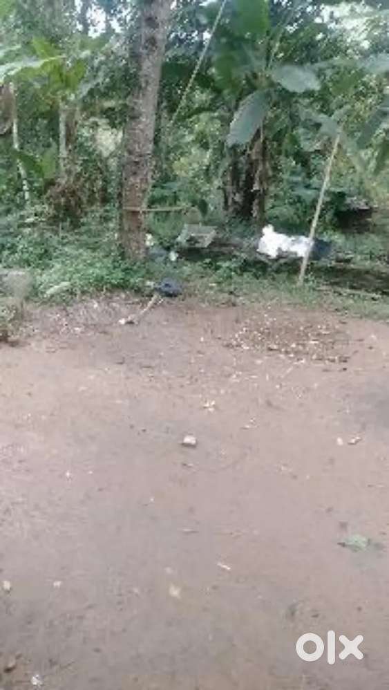 Sathyan nagar, malamelkunnu 5 cent plot for sale