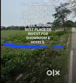 4 katha ROADSIDE Myaddi Patta 1st plot to NH (BORGHAT BYPASS)