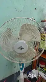 Stand fan for seal