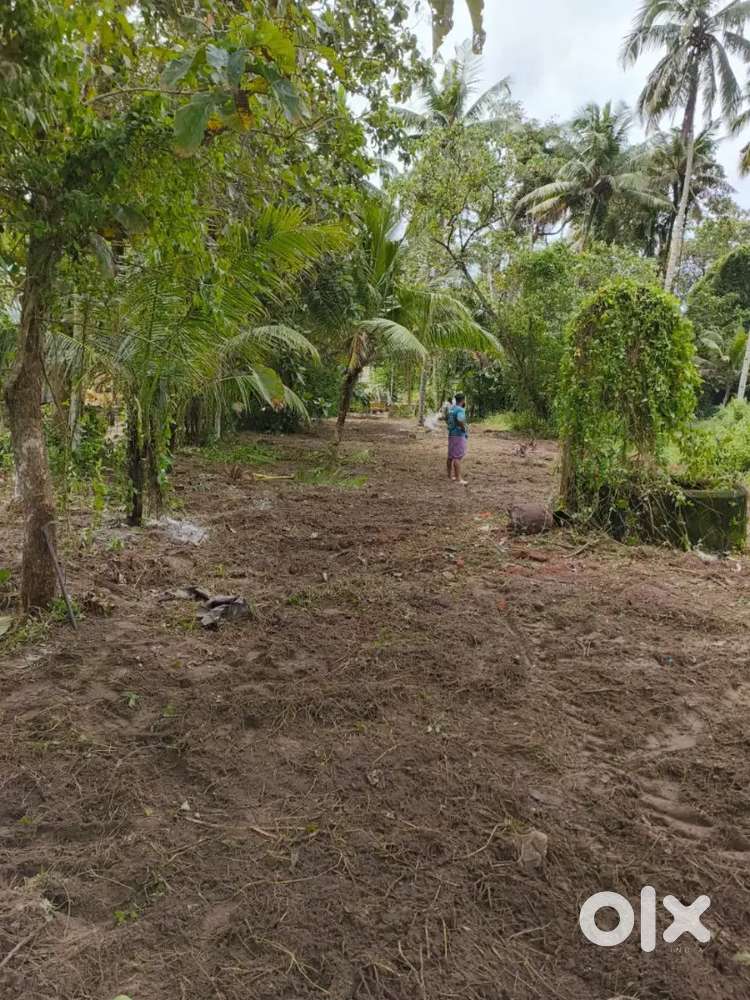 13 cent propeety for sale