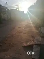 Sele in panjesha adilabad