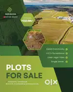 PLOTS FOR SALE IN DHANUPALI, SAMBALPUR.