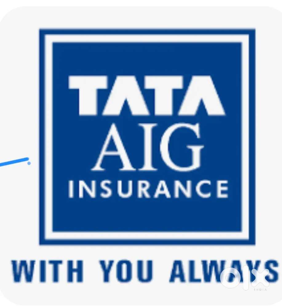 General insurance agent, advisor